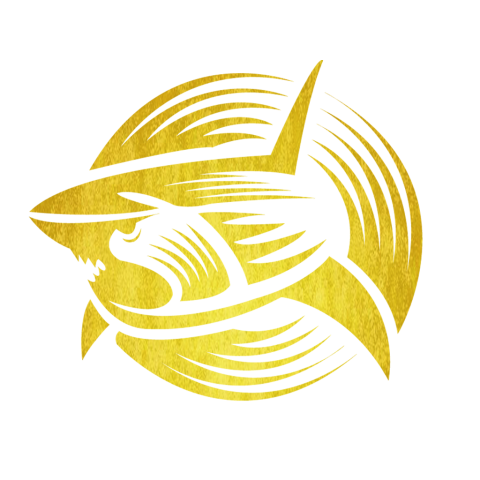 金沙token-支持deepsee...